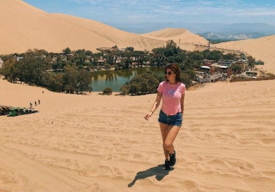 Full day Paracas - Huacachina